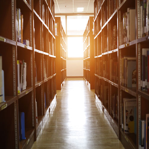 Bootstrap Themes